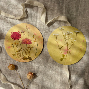 Untersetzer · Wildblumen | Dahlie | Grün