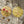 Untersetzer · Wildblumen | Dahlie | Grün