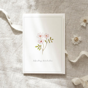 Condolence card · Sincere condolences | Rose