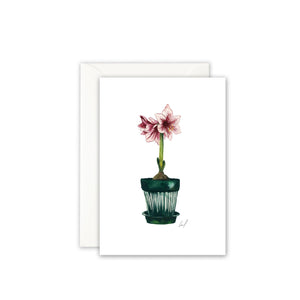 Greeting card · Amaryllis