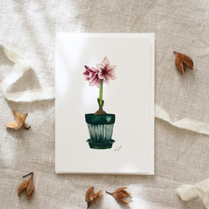 Greeting card · Amaryllis