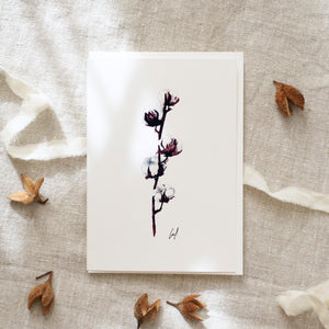 Greeting card · Cotton