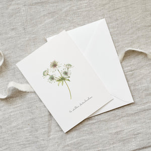 Greeting card · With deepest sympathy | Masterwort