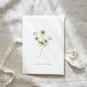 Greeting card · With deepest sympathy | Masterwort