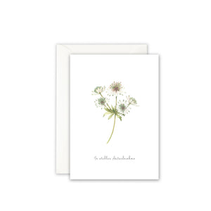 Greeting card · With deepest sympathy | Masterwort