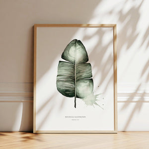 Art Print - Banana Leaf