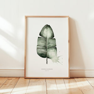 Art Print - Banana Leaf