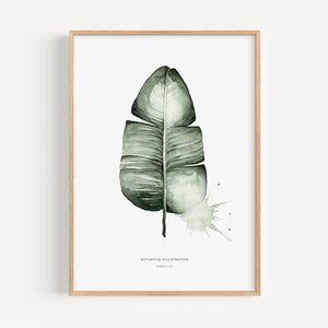 Art Print - Banana Leaf