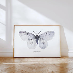 Art Print - Apollo Fig 1