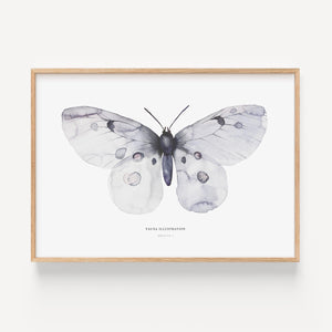 Art Print - Apollo Fig 1