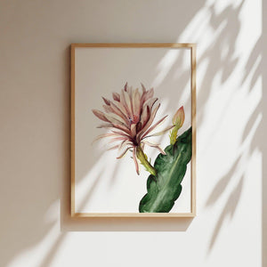 Art Print - Red Cactus Flower