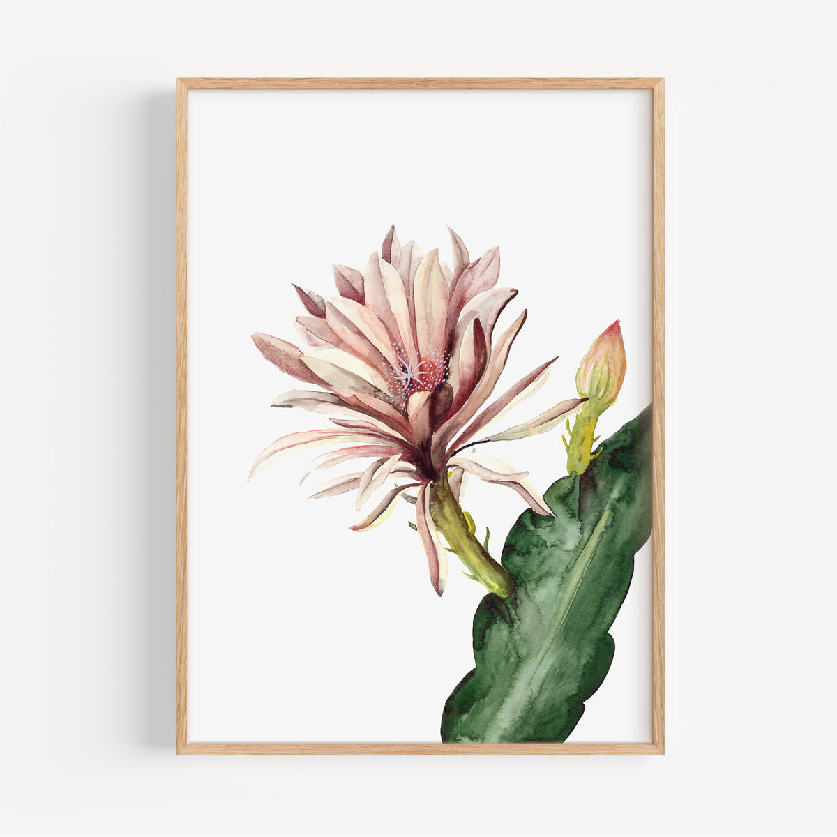 Kunstdruck - Red Cactus Flower