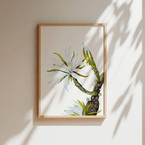 Art Print - White Cactus Flower