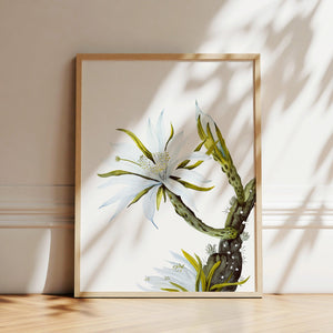 Art Print - White Cactus Flower