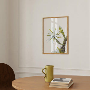 Art Print - White Cactus Flower