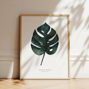 Art Print - Monstera Deliciosa