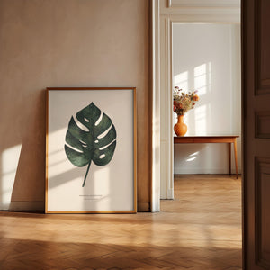 Art Print - Monstera Deliciosa