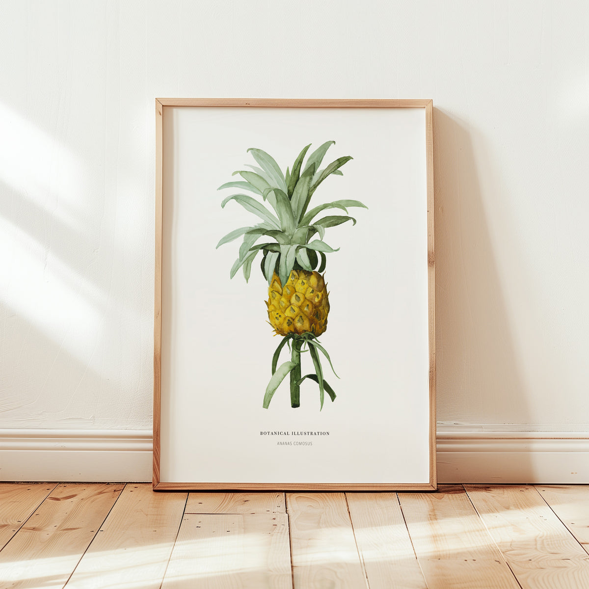 Art Print - Pineapple Comosus