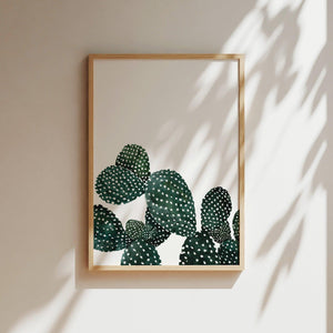 Art Print - Cactus Family