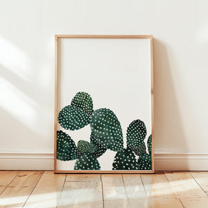 Art Print - Cactus Family