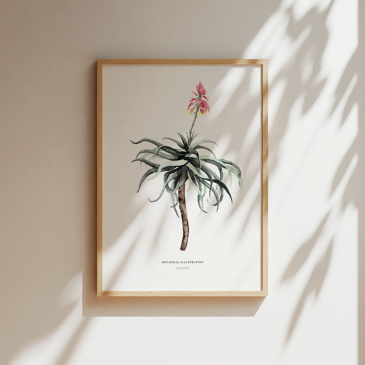 Art Print - Succulent