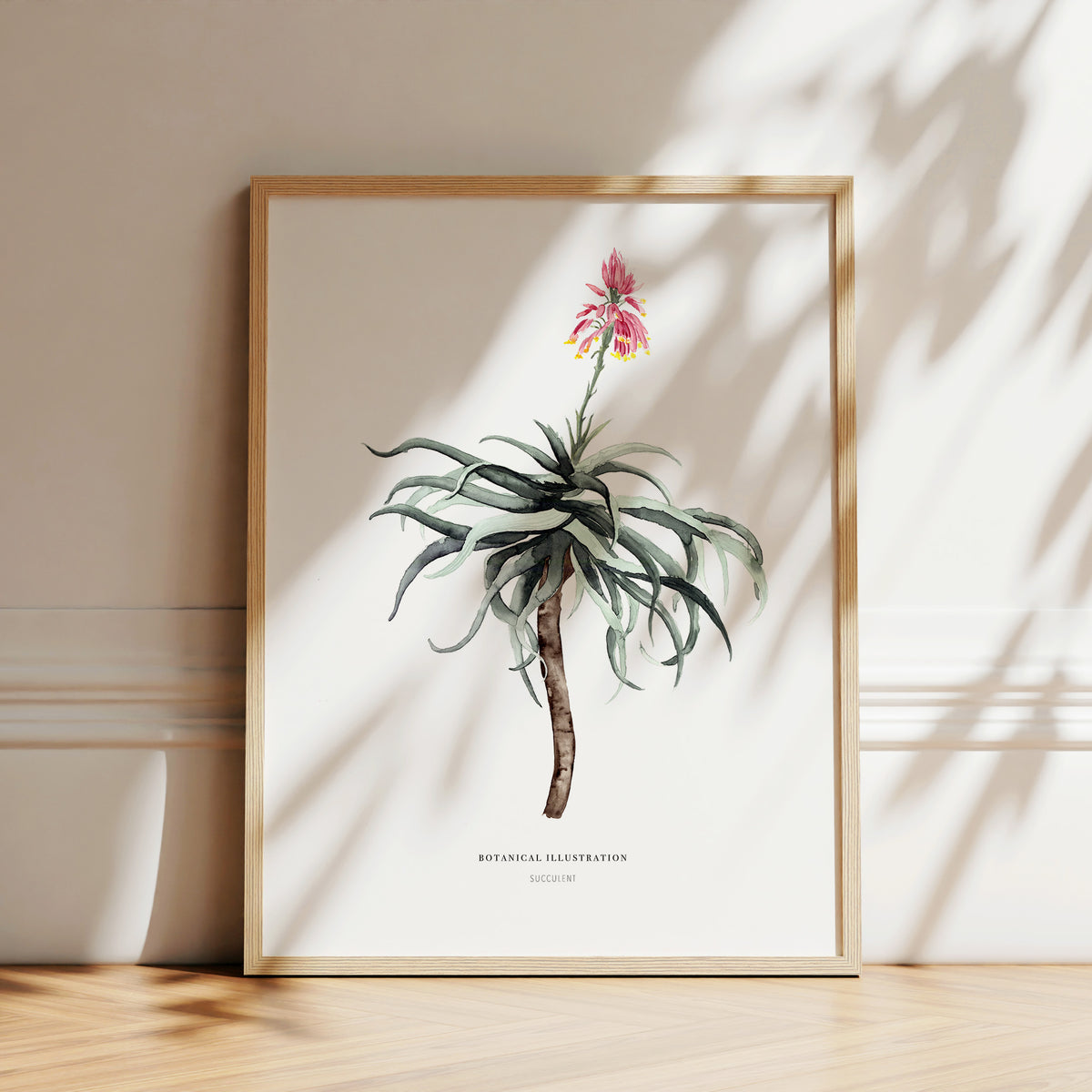 Kunstdruck - Succulent