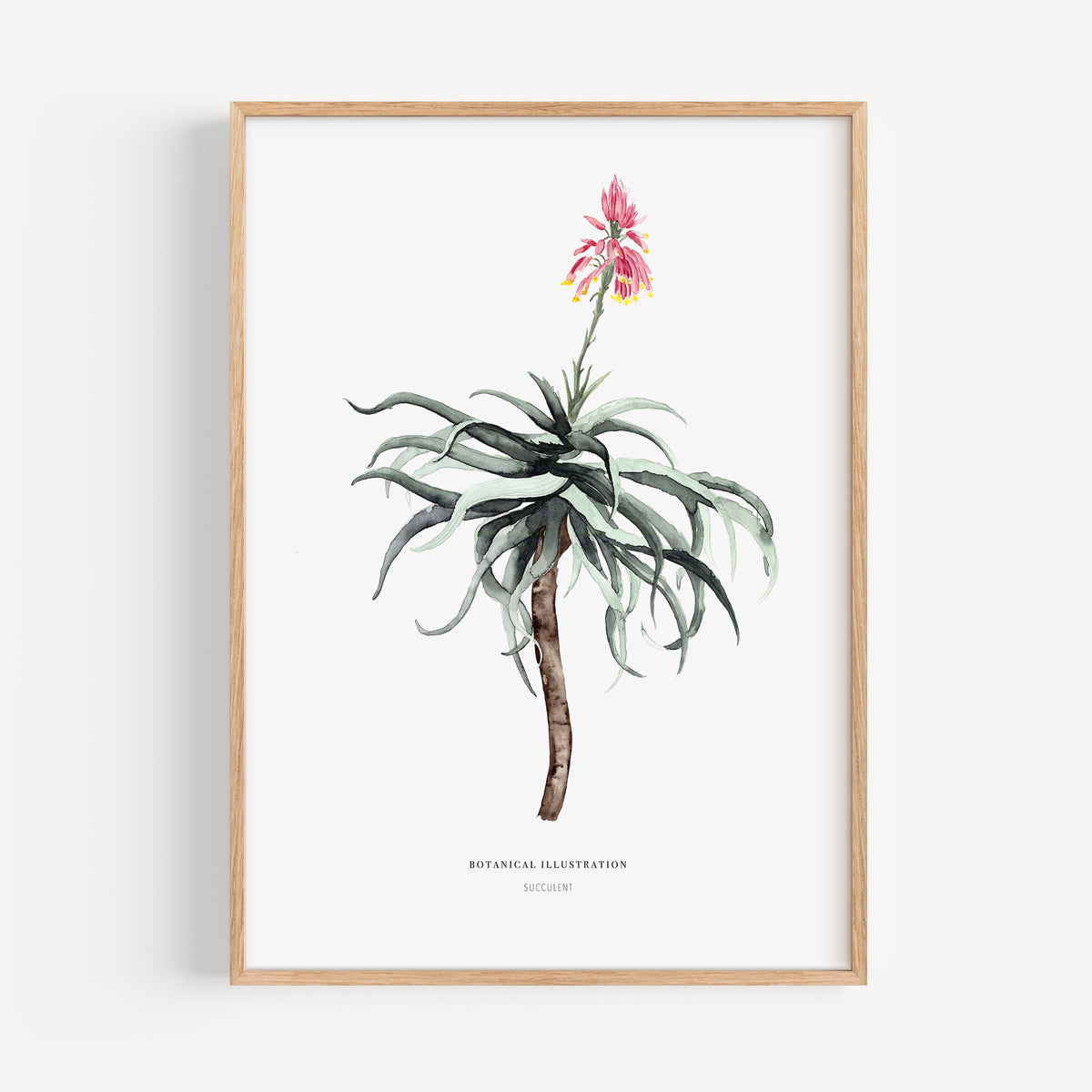 Kunstdruck - Succulent