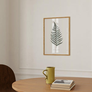 Art Print - Fern