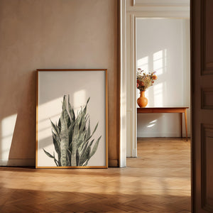 Art Print - Sansevieria