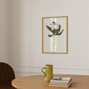 Art Print - King Protea