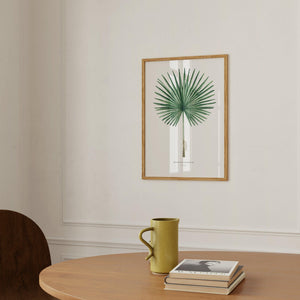 Art Print - Fan Palm