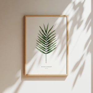 Art Print - Palm Leaf
