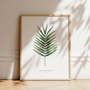 Art Print - Palm Leaf