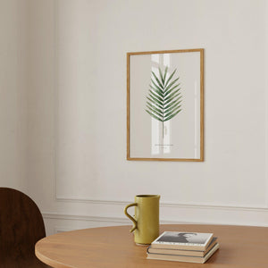 Art Print - Palm Leaf