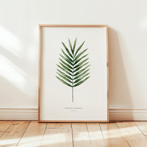 Art Print - Palm Leaf