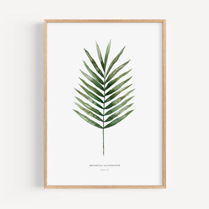 Art Print - Palm Leaf