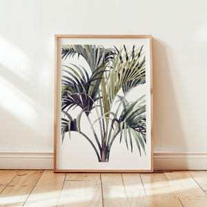 Art Print - Wild Palm