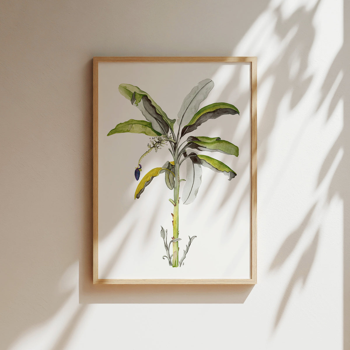 Art Print - Banana Tree