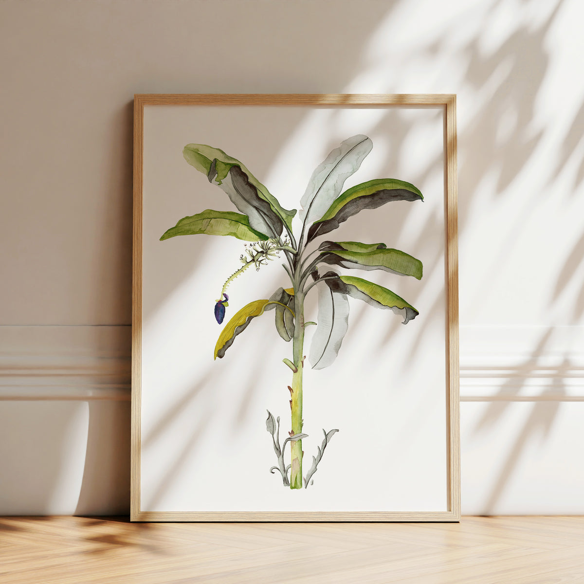 Art Print - Banana Tree