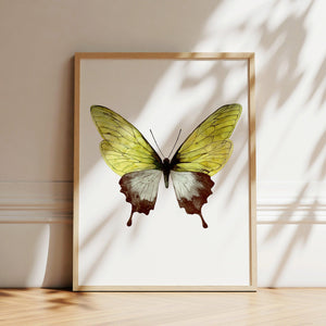 Art Print - Green Butterfly