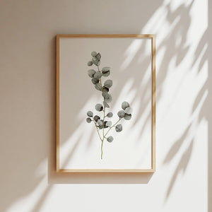 Art Print - Eucalyptus