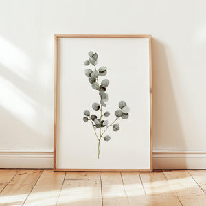 Art Print - Eucalyptus