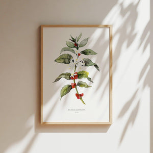 Art Print - Coffee