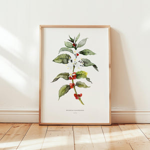 Art Print - Coffee