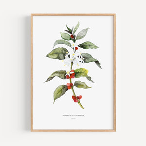 Art Print - Coffee