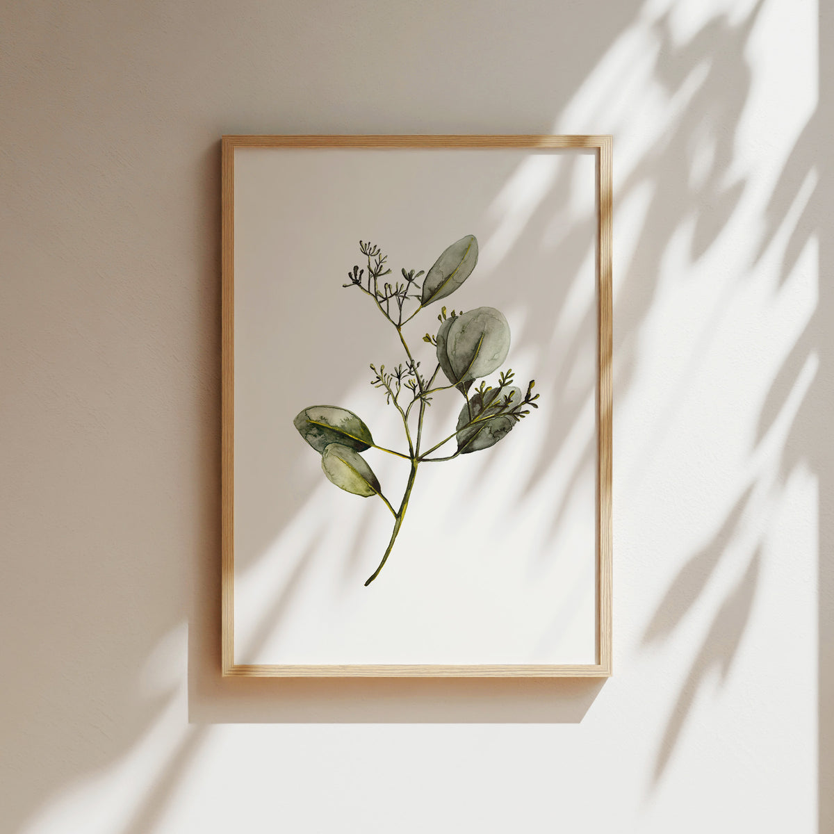 Kunstdruck - Eucalyptus with Blossom