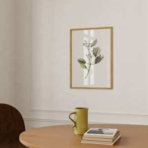 Art Print - Eucalyptus with Blossom