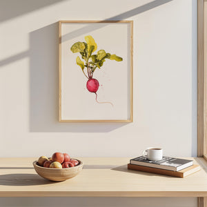 Art Print - Radish