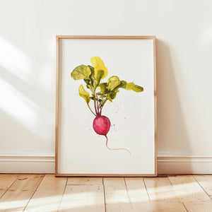 Art Print - Radish