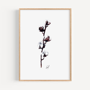 Art Print - Cotton